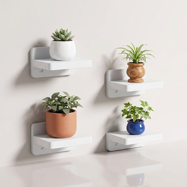 One calm wall for all your plants